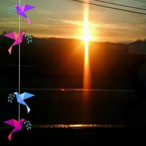 Meet your Posher, Sandy